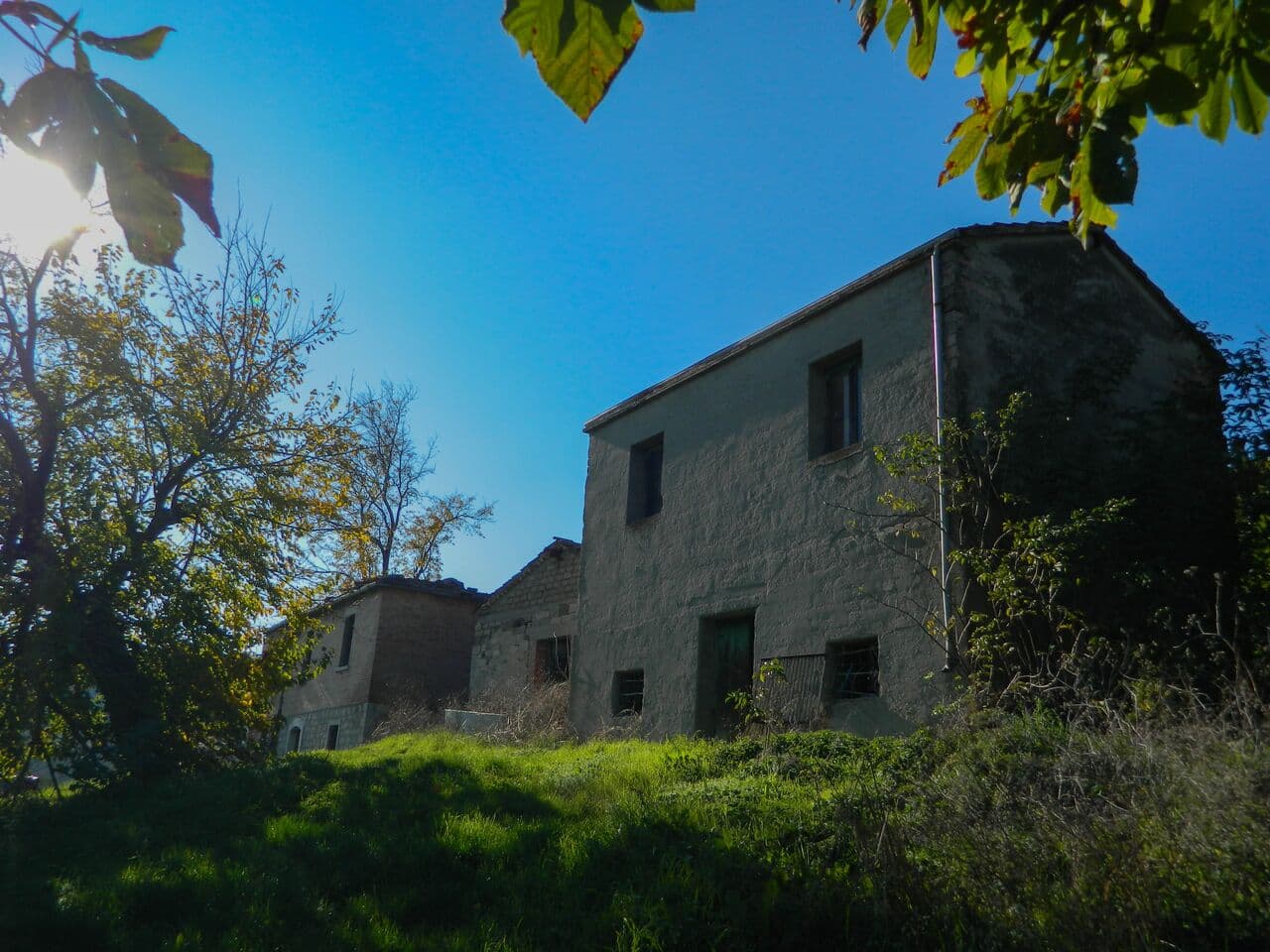 Olivicola Cassetta — foto galleria 12