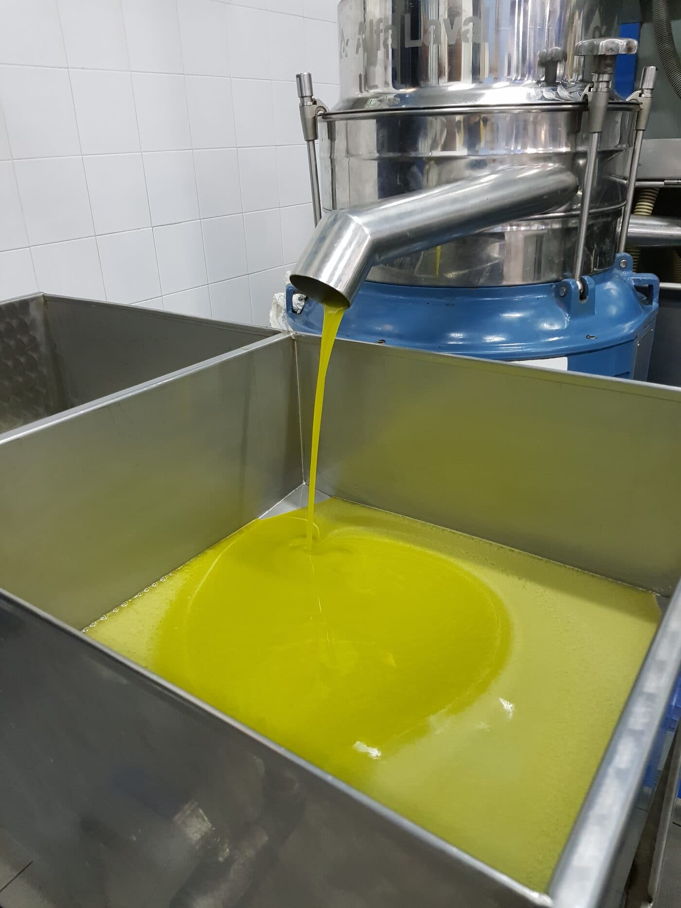 Come conservare l'olio extravergine: la guida definitiva per non rovinarlo